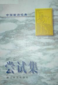 书籍 尝试集的封面