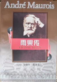 书籍 雨果传的封面