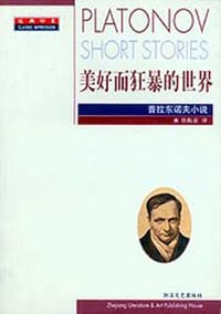 书籍 美好而狂暴的世界的封面