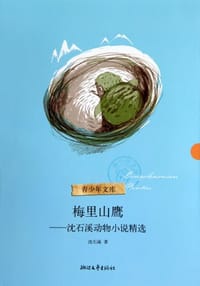梅里山鹰 - 沈石溪