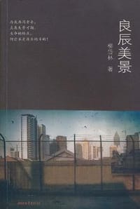 良辰美景 - 柳岱林