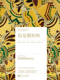 书籍 似是都柏林的封面