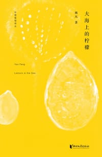 书籍 大海上的柠檬的封面