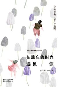在遗忘的时光遇见你