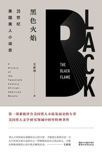 黑色火焰：20世纪美国黑人小说史