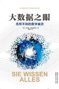 书籍 大数据之眼的封面