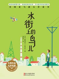 书籍 水街上的鸟儿的封面