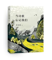 书籍 当诗歌忘记我们的封面