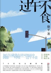 书籍 过午不食的封面