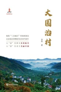 书籍 大国治村的封面