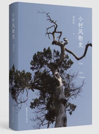 书籍 小村风物史的封面