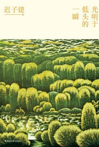 光明于低头的一瞬 - 迟子建
