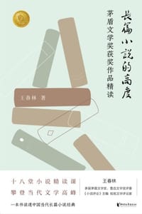 书籍 长篇小说的高度的封面