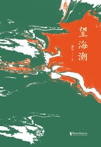 书籍 望海潮的封面