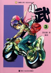 书籍 小武3的封面