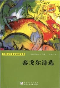 书籍 泰戈尔诗选的封面