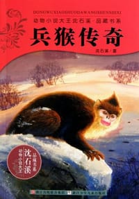 兵猴传奇 - 沈石溪