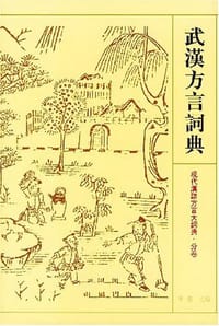 书籍 武汉方言词典的封面