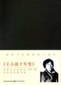 书籍 王小波十年祭的封面