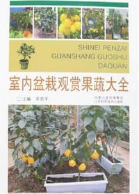 室内盆栽观赏果蔬大全 - 羊杏平