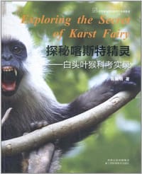 书籍 探秘喀斯特精灵的封面