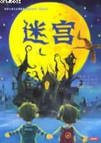 书籍 迷宫的封面