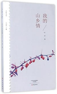 书籍 我的山乡情的封面
