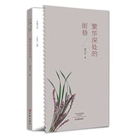 书籍 繁华深处的街巷的封面