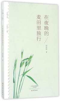 书籍 在夜晚的麦田里独行/乡愁文丛的封面