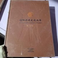 信阳历史文化丛书 根亲卷