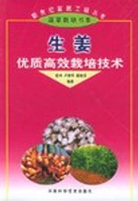 生姜优质高效栽培技术