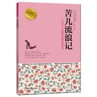苦儿流浪记 青少年成长必读经典书系