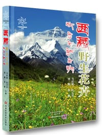 西藏野生花卉 - 马欣堂