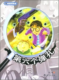 书籍 第六个弹孔的封面