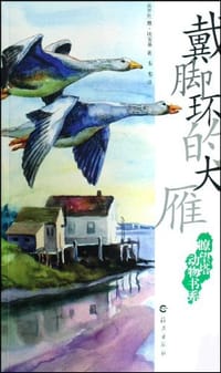 书籍 戴脚环的大雁的封面