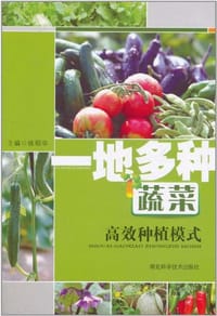 书籍 一地多种蔬菜高效种植模式的封面