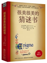 很美很美的猜谜书 - （法）法布里斯•马萨