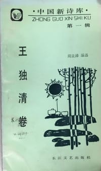 中国新诗库·第一辑：王独清卷