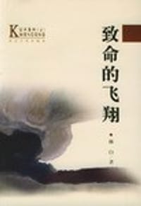 书籍 致命的飞翔的封面