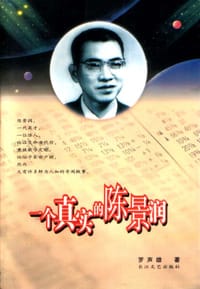 一个真实的陈景润