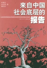 来自中国社会底层的报告 - 叶照青
