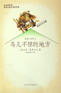 书籍 鸟儿不惊的地方的封面