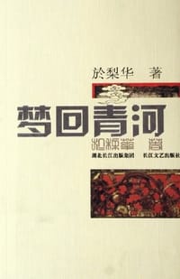 书籍 梦回青河的封面