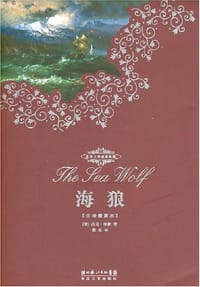 书籍 海狼的封面