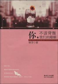 书籍 你不该背叛我们的婚姻的封面