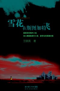 书籍 雪花在斯图加特飞的封面