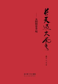 书籍 长天过大云的封面