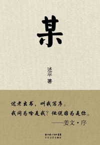 某 - 述平
