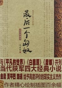 书籍 最后一个匈奴的封面