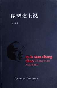 琵琶弦上说 - 杜鸿